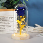 Valentine Rose LED Night Light in Glass Dome