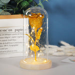 Valentine Rose LED Night Light in Glass Dome