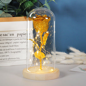 Valentine Rose LED Night Light in Glass Dome