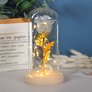 Valentine Rose LED Night Light in Glass Dome