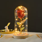 Valentine Rose LED Night Light in Glass Dome