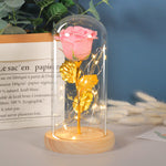 Valentine Rose LED Night Light in Glass Dome